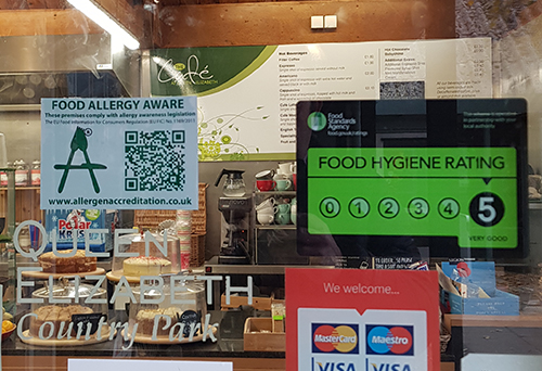 Food-Allergy-Aware-Sticker-500-500x300